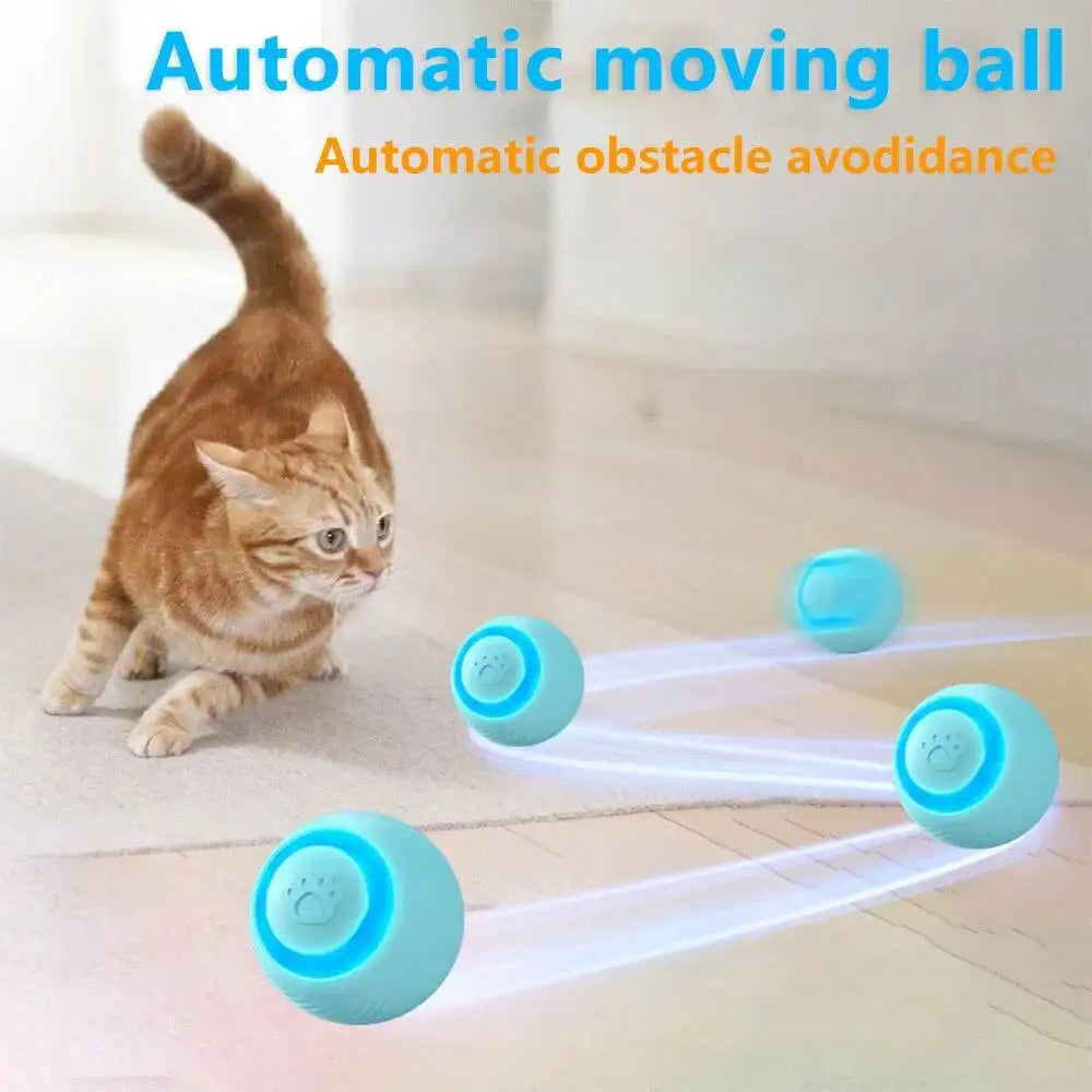 Chase Mate Interactive Cat Toy