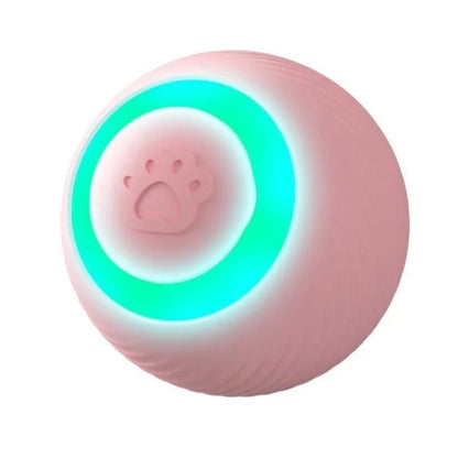 Chase Mate Interactive Cat Toy